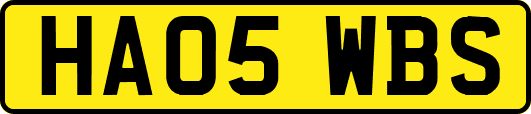 HA05WBS