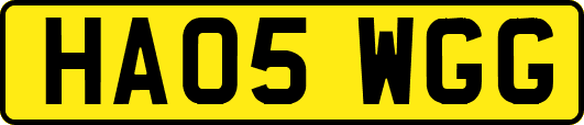 HA05WGG