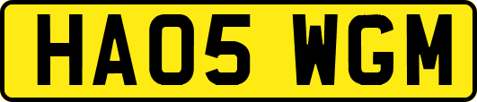 HA05WGM