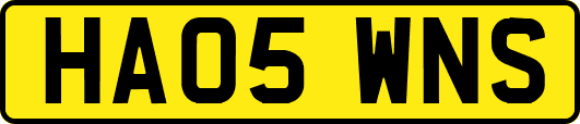 HA05WNS