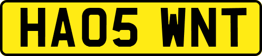 HA05WNT