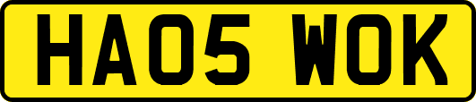 HA05WOK