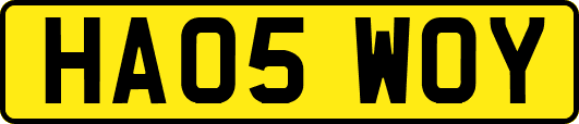 HA05WOY