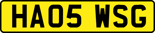HA05WSG