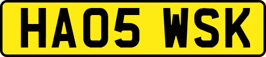 HA05WSK