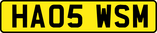 HA05WSM