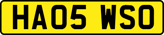 HA05WSO