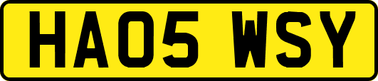 HA05WSY