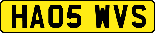 HA05WVS