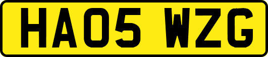 HA05WZG