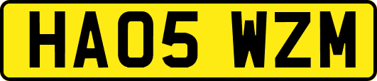HA05WZM
