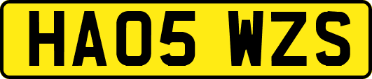 HA05WZS