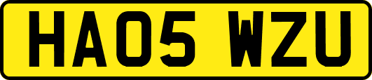 HA05WZU
