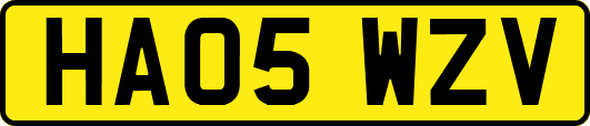 HA05WZV