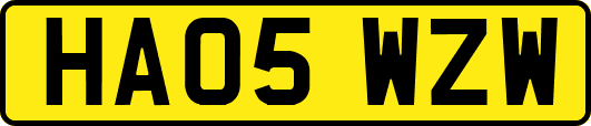 HA05WZW