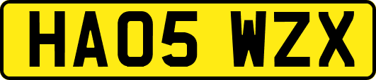 HA05WZX