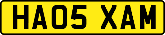 HA05XAM