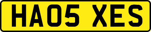 HA05XES