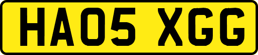 HA05XGG