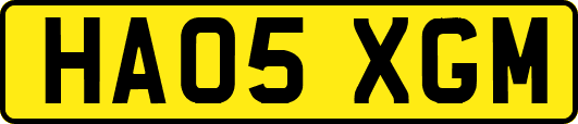 HA05XGM