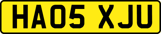 HA05XJU