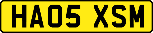 HA05XSM