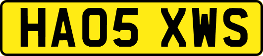 HA05XWS