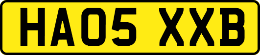 HA05XXB