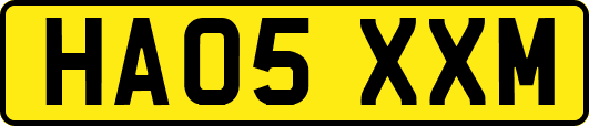 HA05XXM