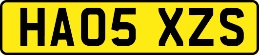 HA05XZS