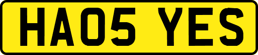 HA05YES