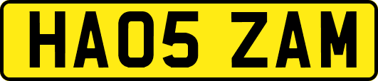 HA05ZAM
