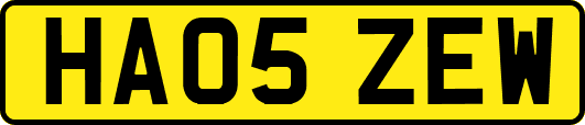 HA05ZEW