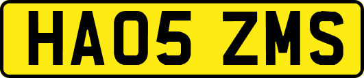 HA05ZMS