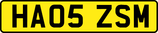 HA05ZSM