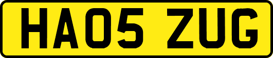 HA05ZUG