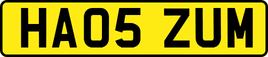 HA05ZUM