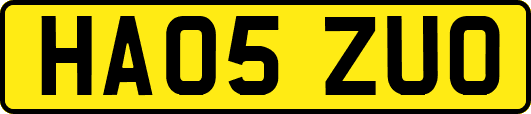 HA05ZUO