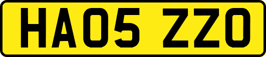 HA05ZZO
