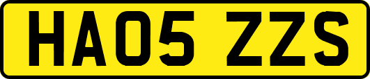 HA05ZZS