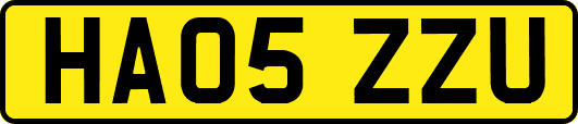 HA05ZZU