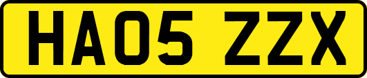HA05ZZX