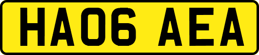HA06AEA