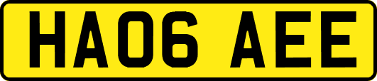 HA06AEE