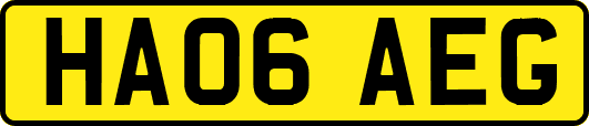 HA06AEG