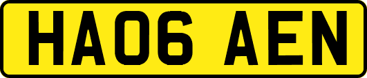HA06AEN