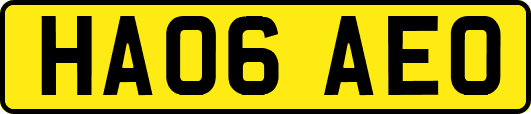 HA06AEO