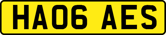 HA06AES