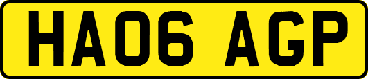 HA06AGP