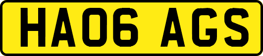 HA06AGS